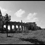 Scan00036