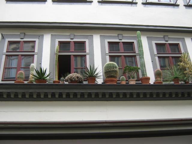 bridge Erfurt