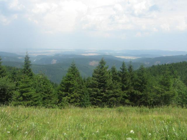 Thuringian forest 1
